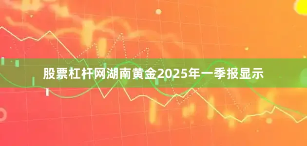 股票杠杆网湖南黄金2025年一季报显示